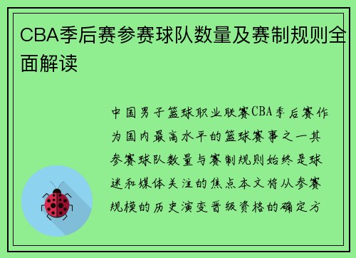 CBA季后赛参赛球队数量及赛制规则全面解读