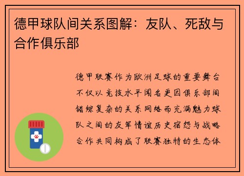 德甲球队间关系图解：友队、死敌与合作俱乐部