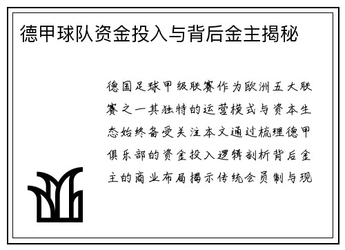 德甲球队资金投入与背后金主揭秘